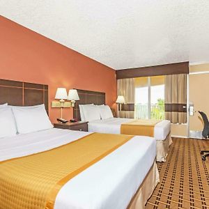 Chambre Lit Queen-Size